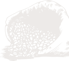 ankara lokma dağıtımı